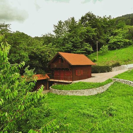 Lazec Country House Villa Pluznje Eksteriør bilde